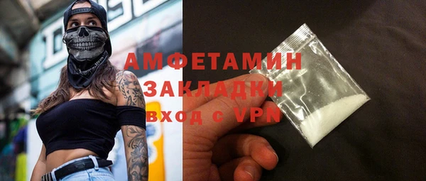 индика Вяземский
