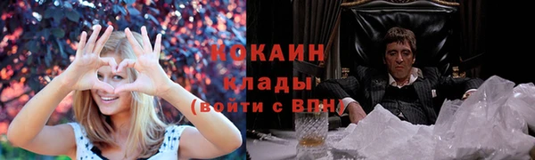 индика Вяземский
