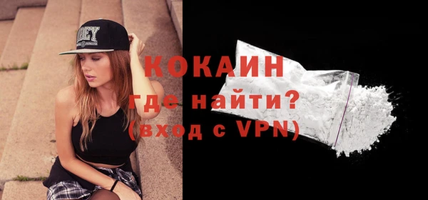 индика Вяземский