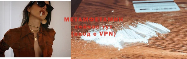 индика Вяземский