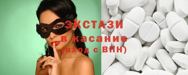 индика Вяземский