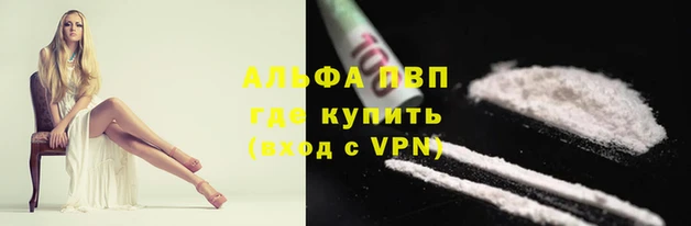 индика Вяземский