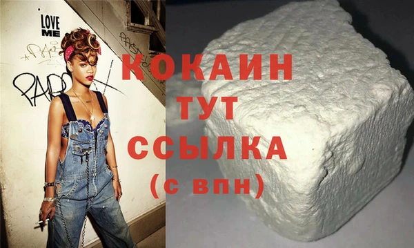 индика Вяземский