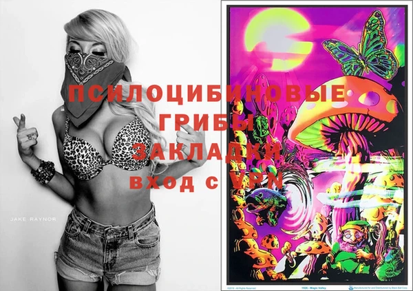 индика Вяземский