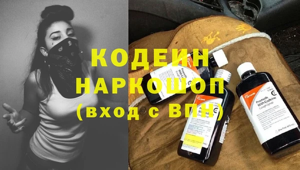индика Вяземский