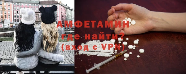 индика Вяземский