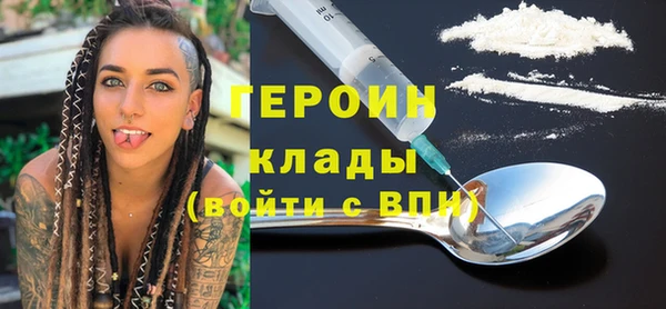 индика Вяземский