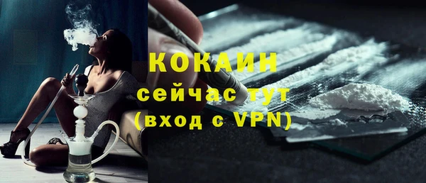 индика Вяземский